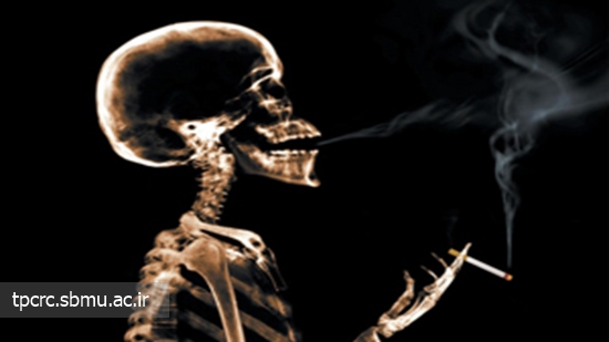 راز مرگ زودرس مردان 